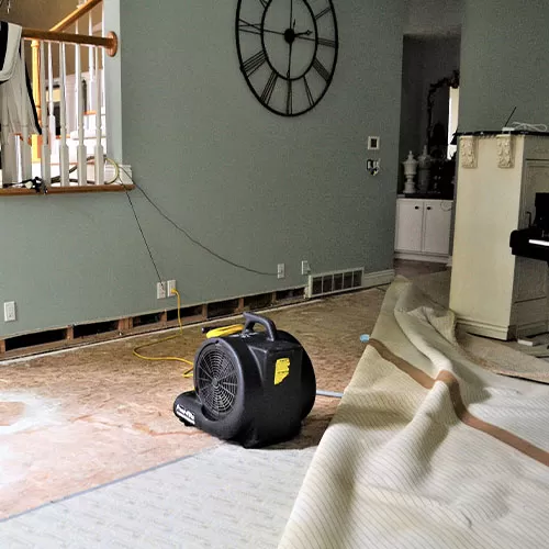 Water Damage Restoration & Repair